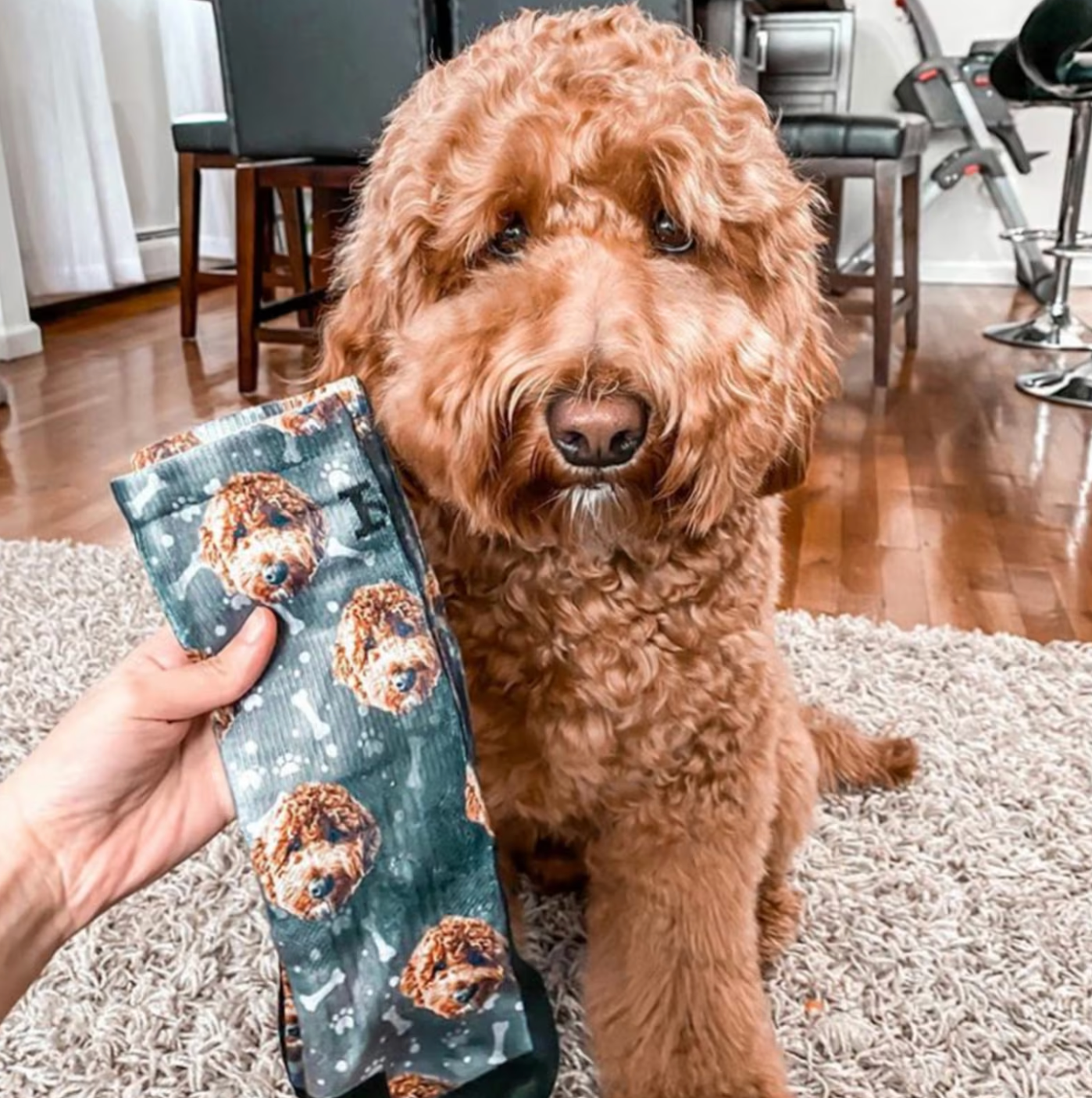 カスタマイズペットのアイコン靴下です