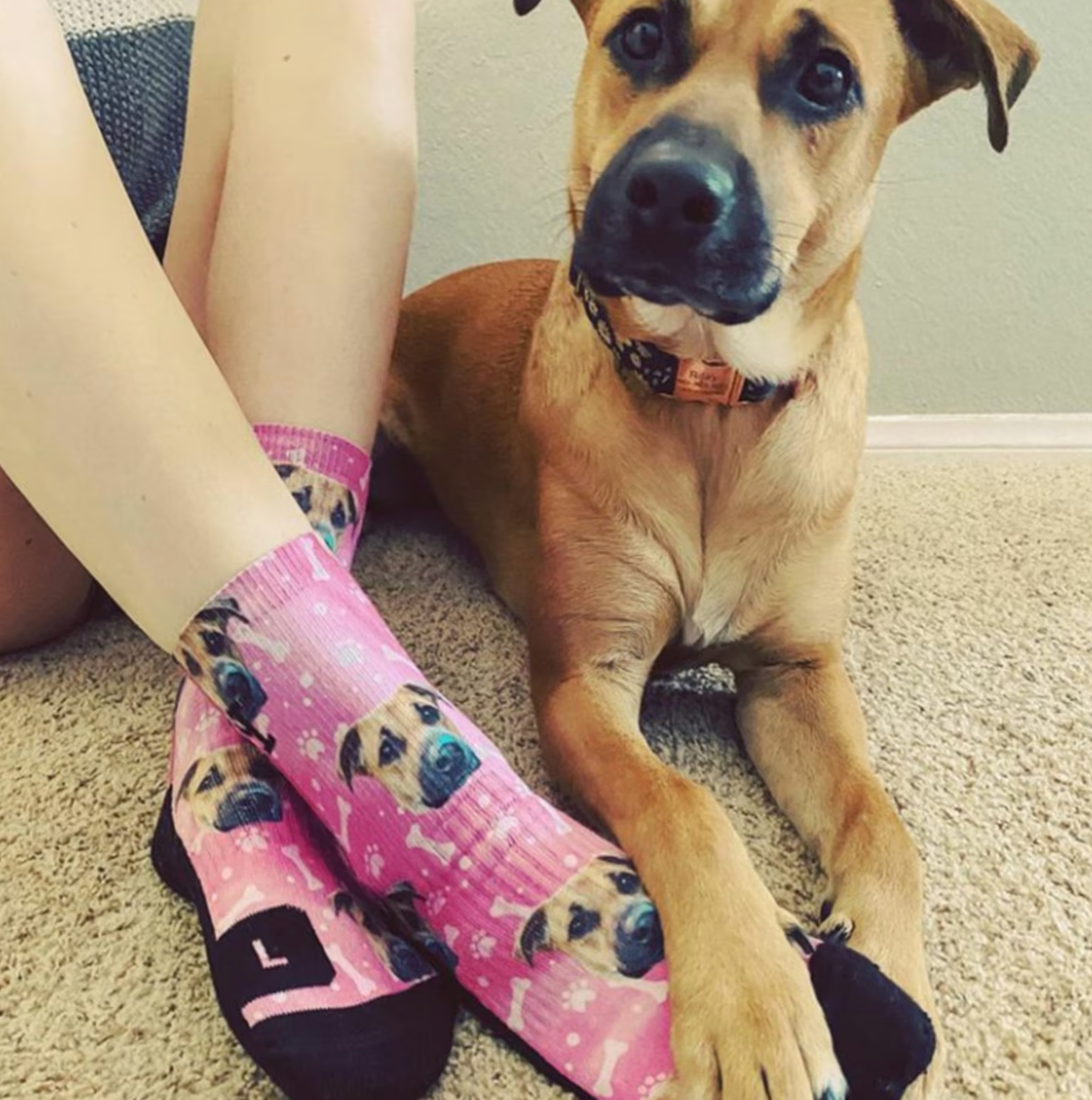 カスタマイズペットのアイコン靴下です