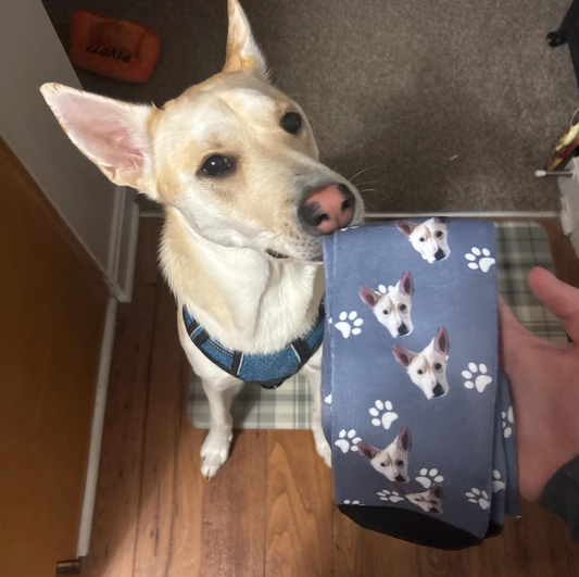 カスタマイズペットのアイコン靴下です