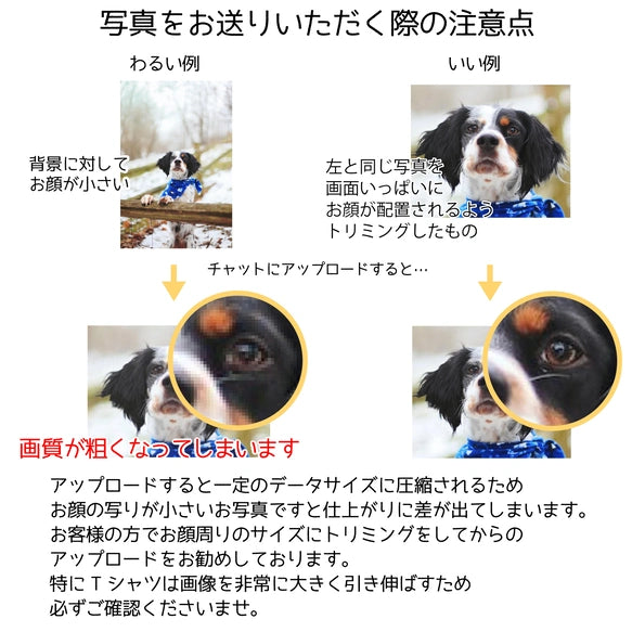 ペットのお写真でコインケース - Fallook