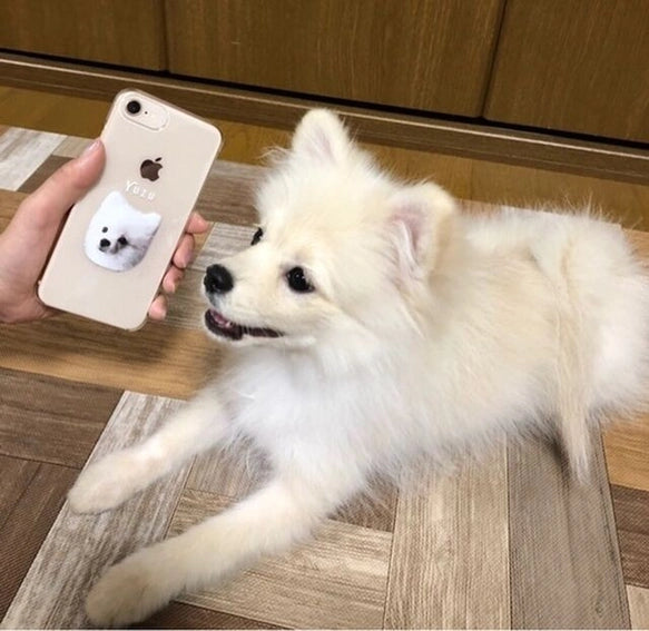カスタマイズされたペットアバター携帯電話ケース iPhone 透明 - Fallook