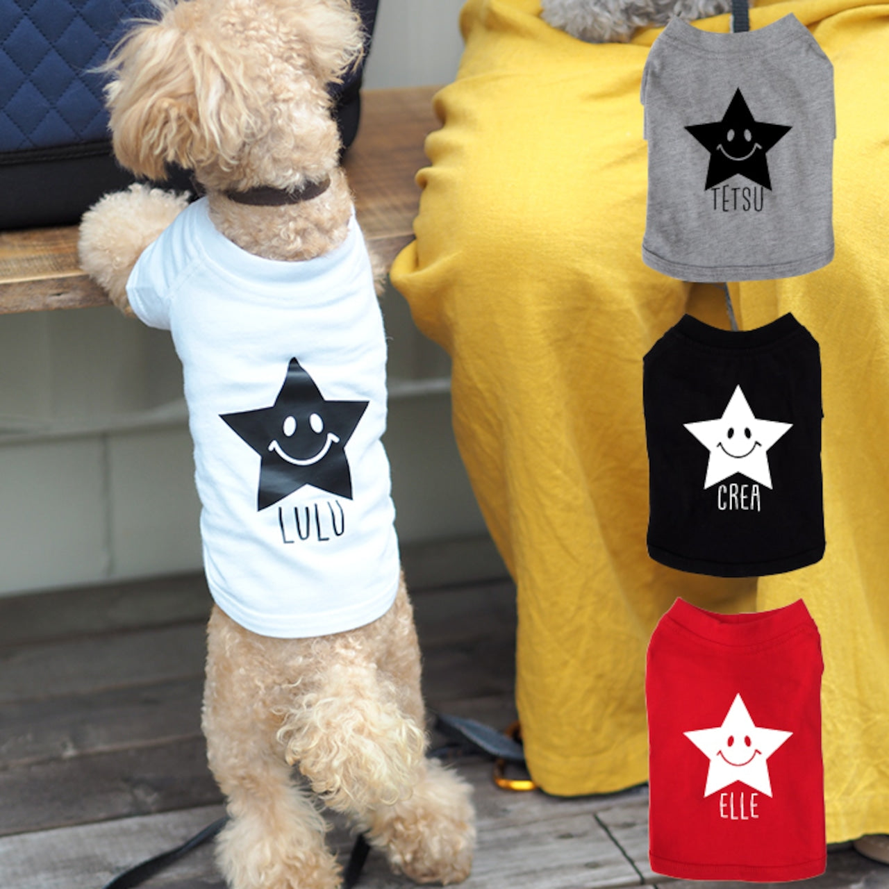 犬の名前が入った服をカスタマイズします 星型です - Fallook