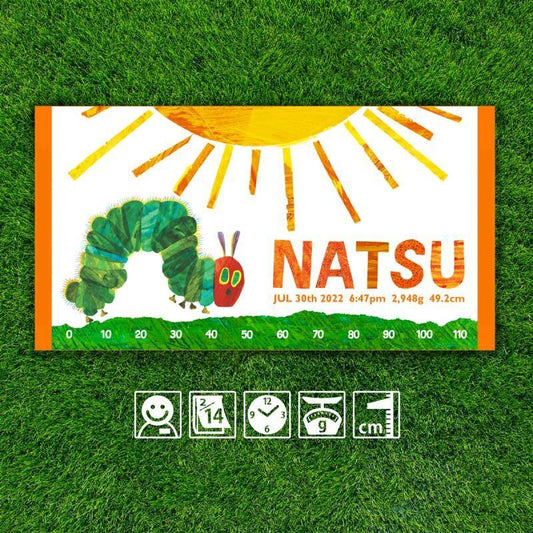 趣味柄のビーチタオルです·名前と誕生日のメッセージが入っています|太陽 - Fallook