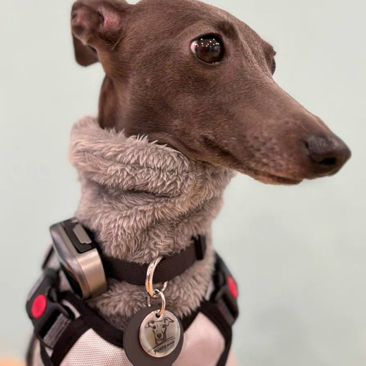 ペットの写真入りカスタムカラー|ネックレス(革+銅製)