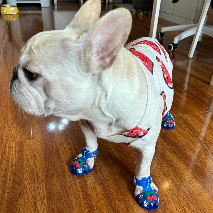 滑り止めのジェリーサンダル猫犬用靴 - Fallook