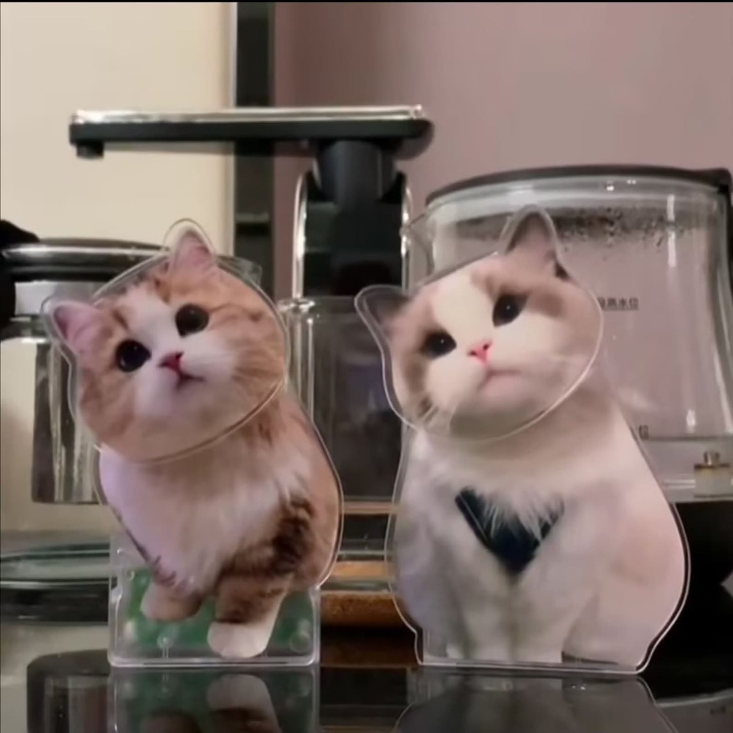 🐶🐱 ペット2匹/2人印刷•カスタマイズペット|キャラクター首振りアクリルスタンド - Fallook