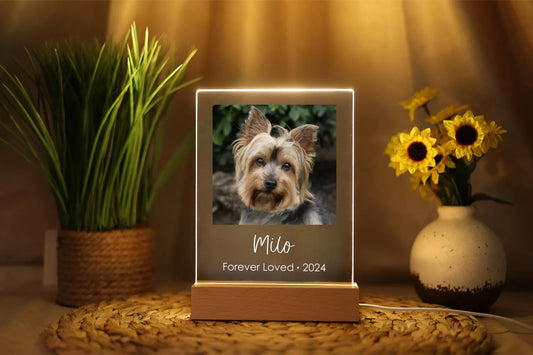 ペット写真入りLEDサインライト03 寝室の装飾