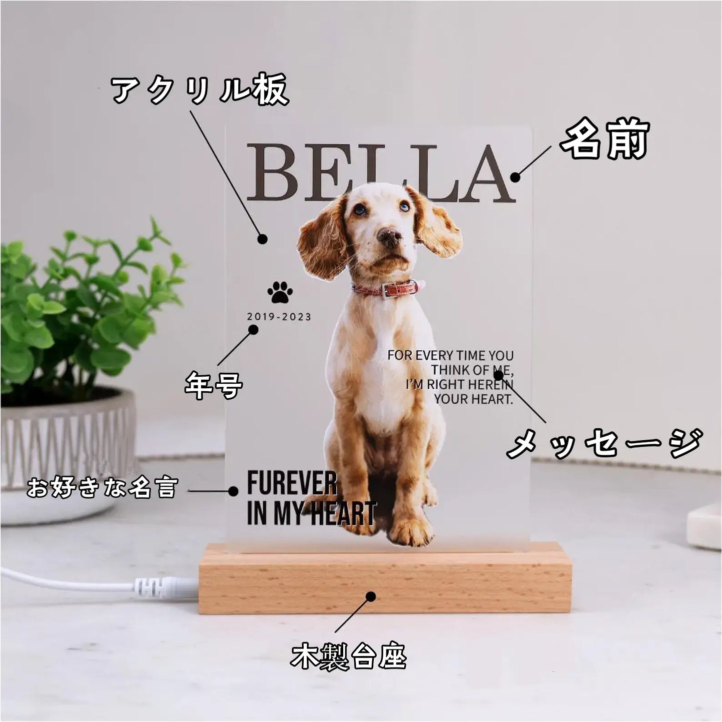 Personalized birth flower Accessory storage box♬ Fashionable