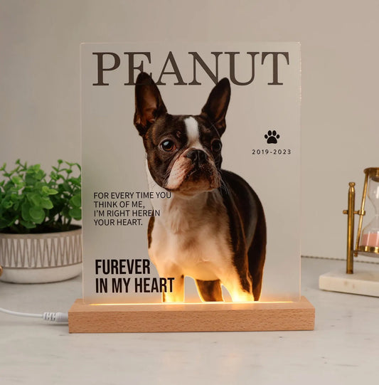 ペット写真入りLEDサインライト01 寝室の装飾