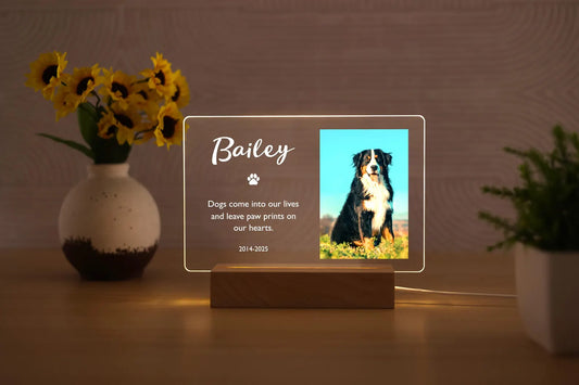 ペット写真入りLEDサインライト02 寝室の装飾