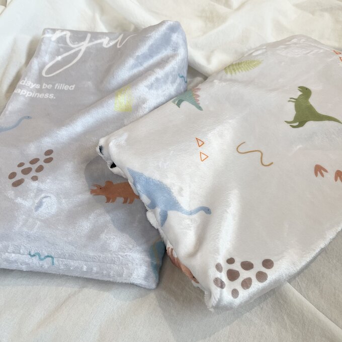 出産祝いに名前入り大判ブランケット★恐竜コレクション★ - Fallook