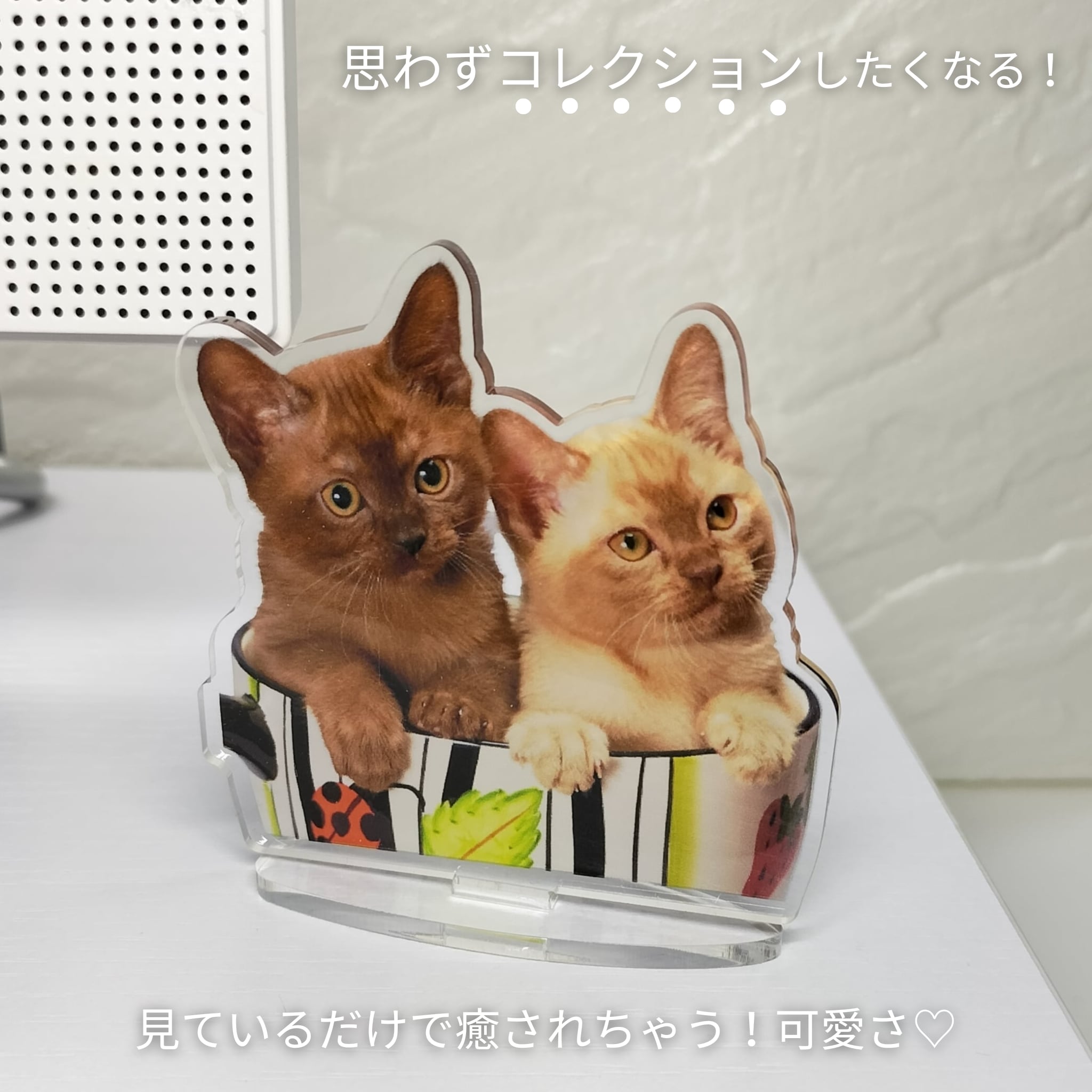 アクリルスタンドカスタム透明装飾お土産誕生日プレゼントペット猫犬キーホルダーアニメキャラクター漫画 - Fallook