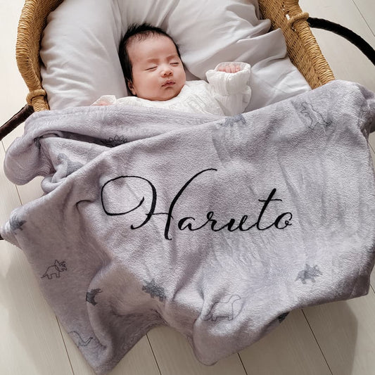Customized Personalized Name Dinosaur Collection Blanket