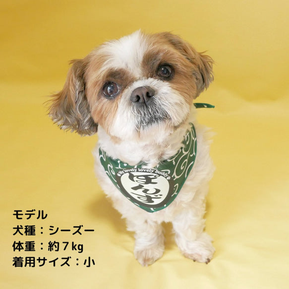 名前入り ペット用バンダナ からくさ模様・バンダナ のスタイル - Fallook