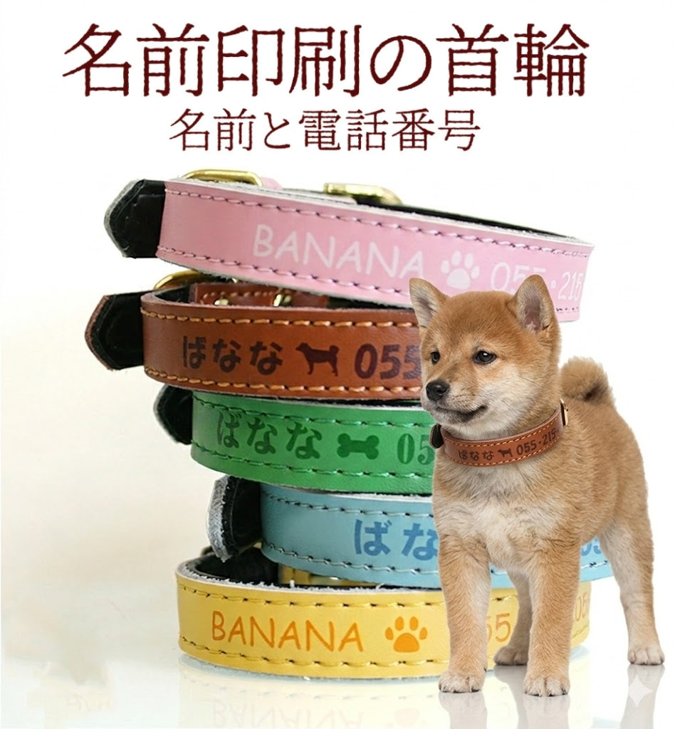 名入れ オリジナル  名前入り首輪 犬 犬用首輪 おしゃれ かわいい 安全 迷子札 ペット用品
