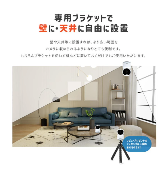 24時間録画 ネットワークカメラ 室内ペット、子供 留守番カメラ 防犯/監視/赤ち - Fallook