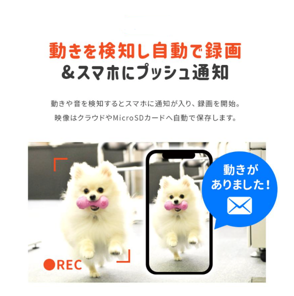 24時間録画 ネットワークカメラ 室内ペット、子供 留守番カメラ 防犯/監視/赤ち - Fallook