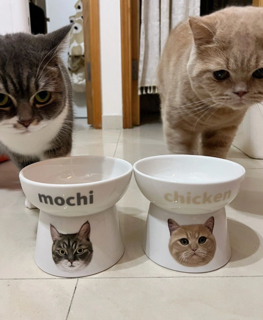 ペットフードボウルには·オリジナルのペットの似顔絵と名前が入れられます - Fallook