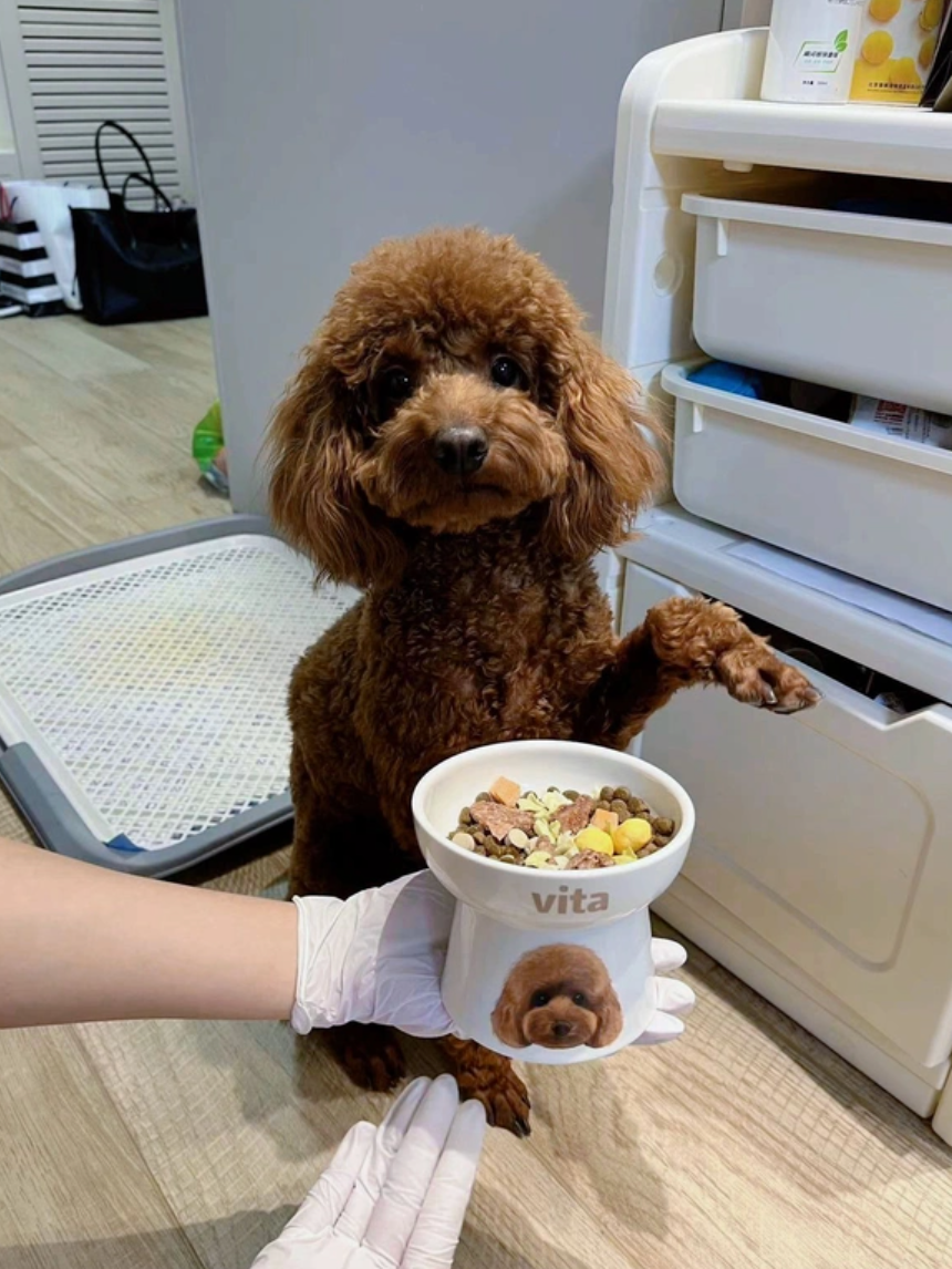 ペットフードボウルには·オリジナルのペットの似顔絵と名前が入れられます - Fallook