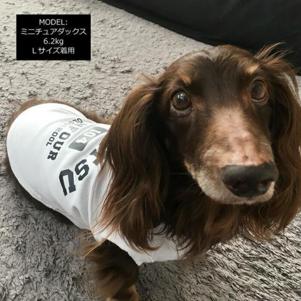 【オールドスクールTシャツ】中型犬 犬 飼い主 お揃い もできる♪ ペアルック Tシャツ 名入れ - Fallook