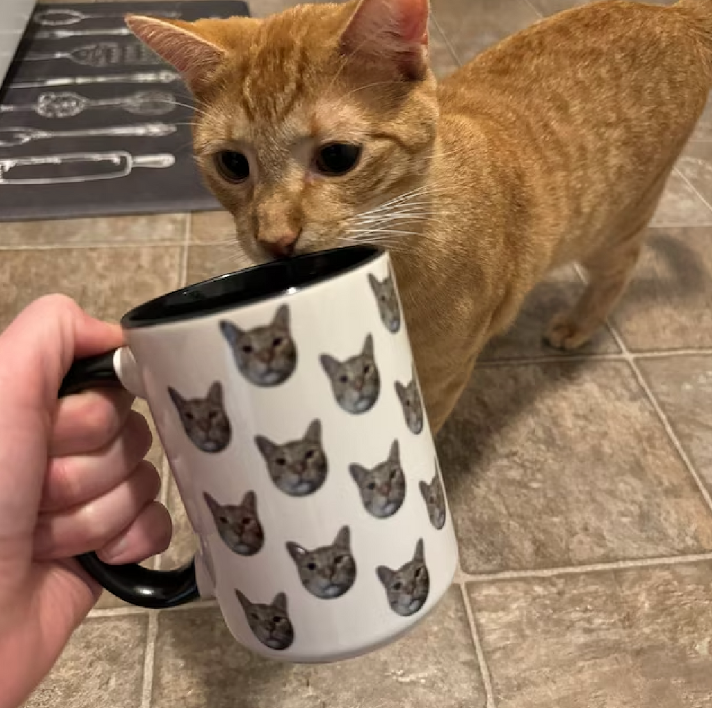 マグカップをカスタマイズしました - Fallook