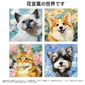 ペット写真オーダー油絵♪ | ペットイラスト | ペット似顔絵 | 犬 猫 うちの子