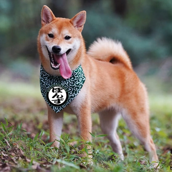 名前入り ペット用バンダナ からくさ模様・バンダナ のスタイル - Fallook