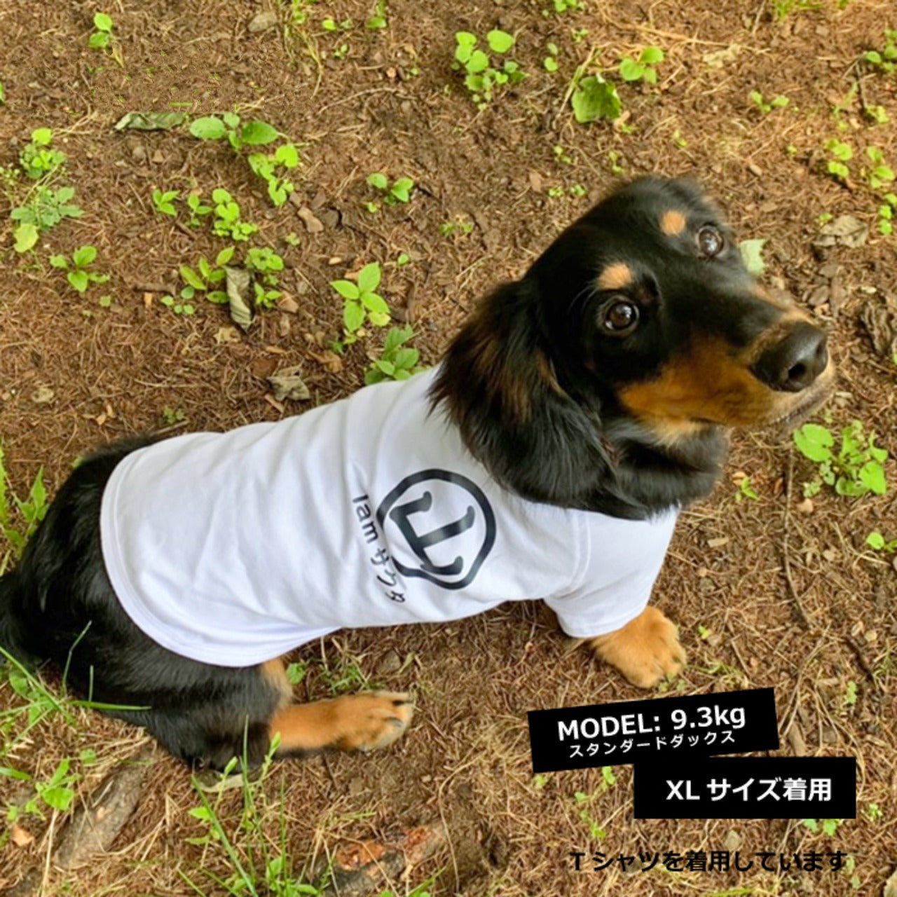 犬の名前が入った服をカスタマイズします