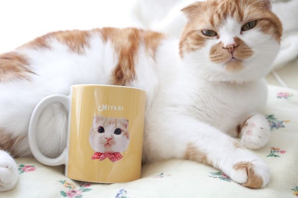 うちの子 カラフル マグカップ │犬 猫 ペット - Fallook