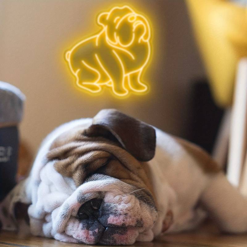 カスタム ペット アウトライン ネオン ライト - Fallook