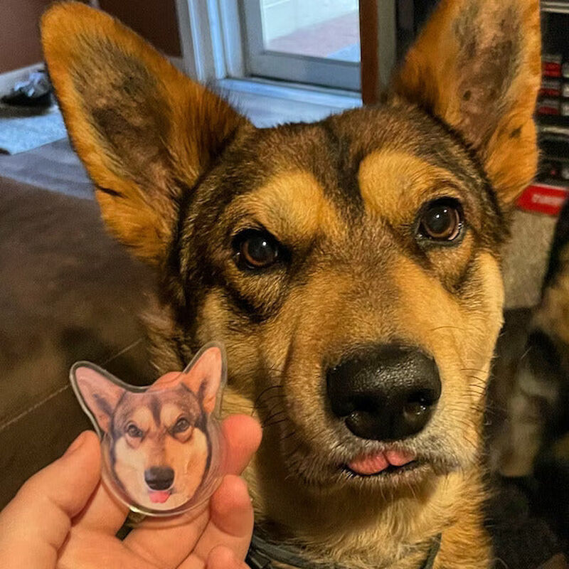 カスタマイズされたペットの携帯電話エアバッグ ホルダー