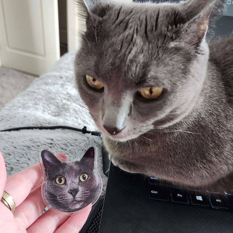 カスタマイズされたペットの携帯電話エアバッグ ホルダー