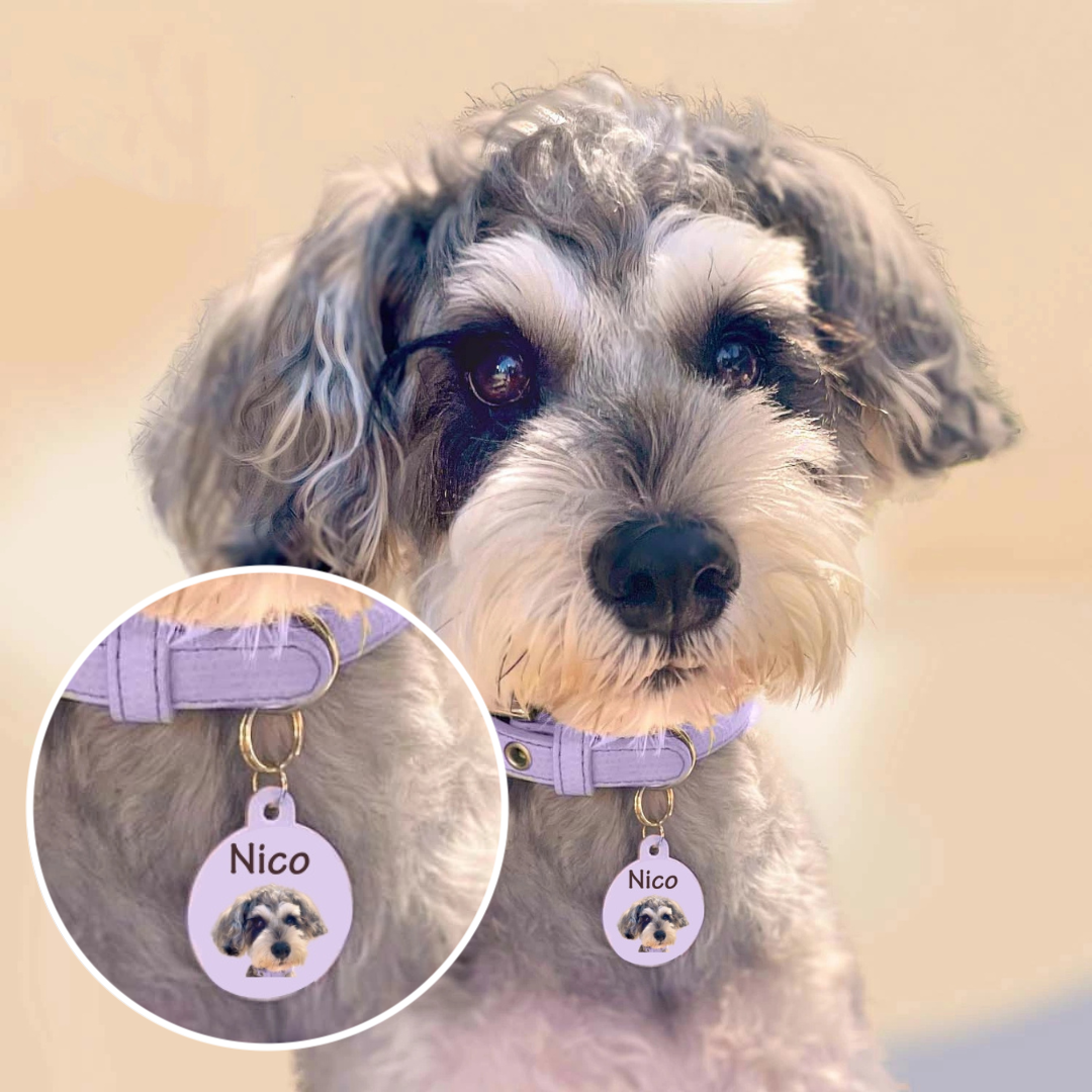 Photo Ru Pastel Color Personalized Lost Tag Dog Tag