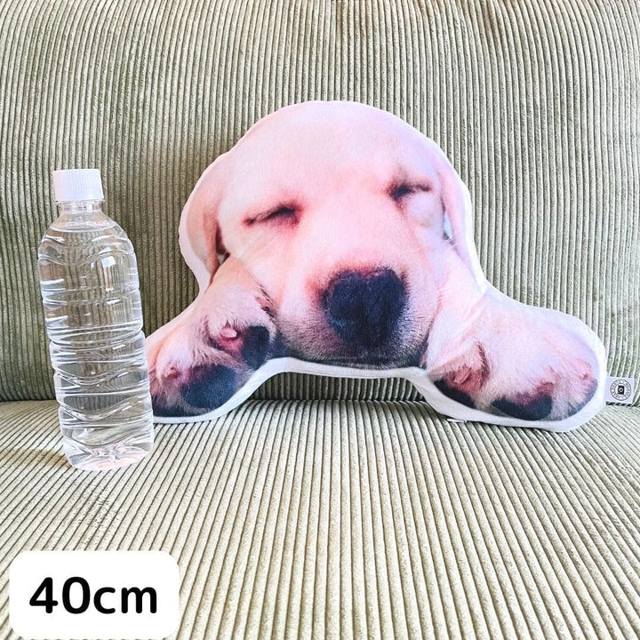 世界にひとつだけ♪オリジナルクッション·写真でオーダーメイド01-ペット - Fallook