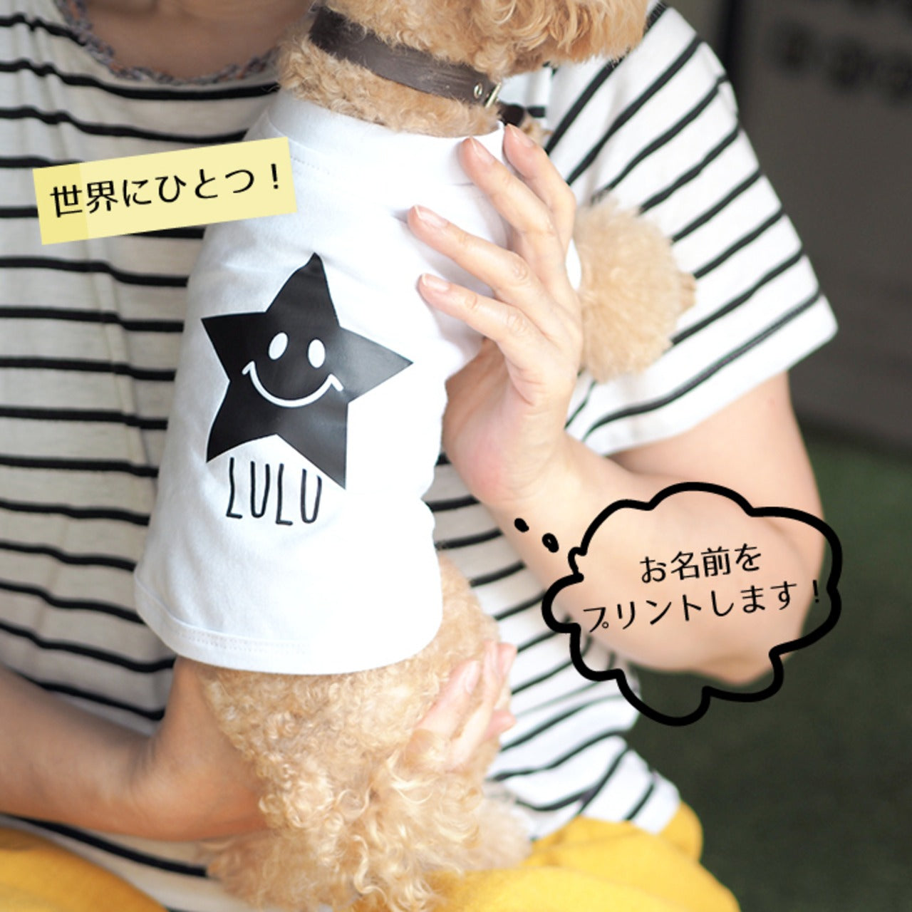 犬の名前が入った服をカスタマイズします 星型です - Fallook
