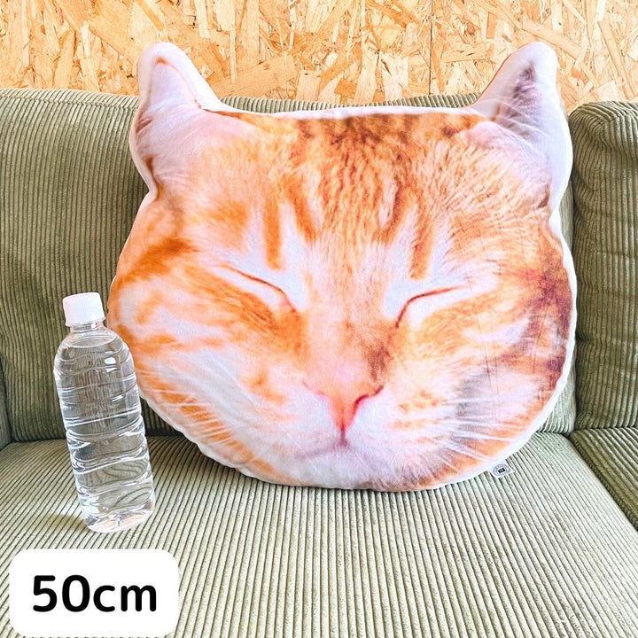 世界にひとつだけ♪オリジナルクッション·写真でオーダーメイド01-ペット - Fallook