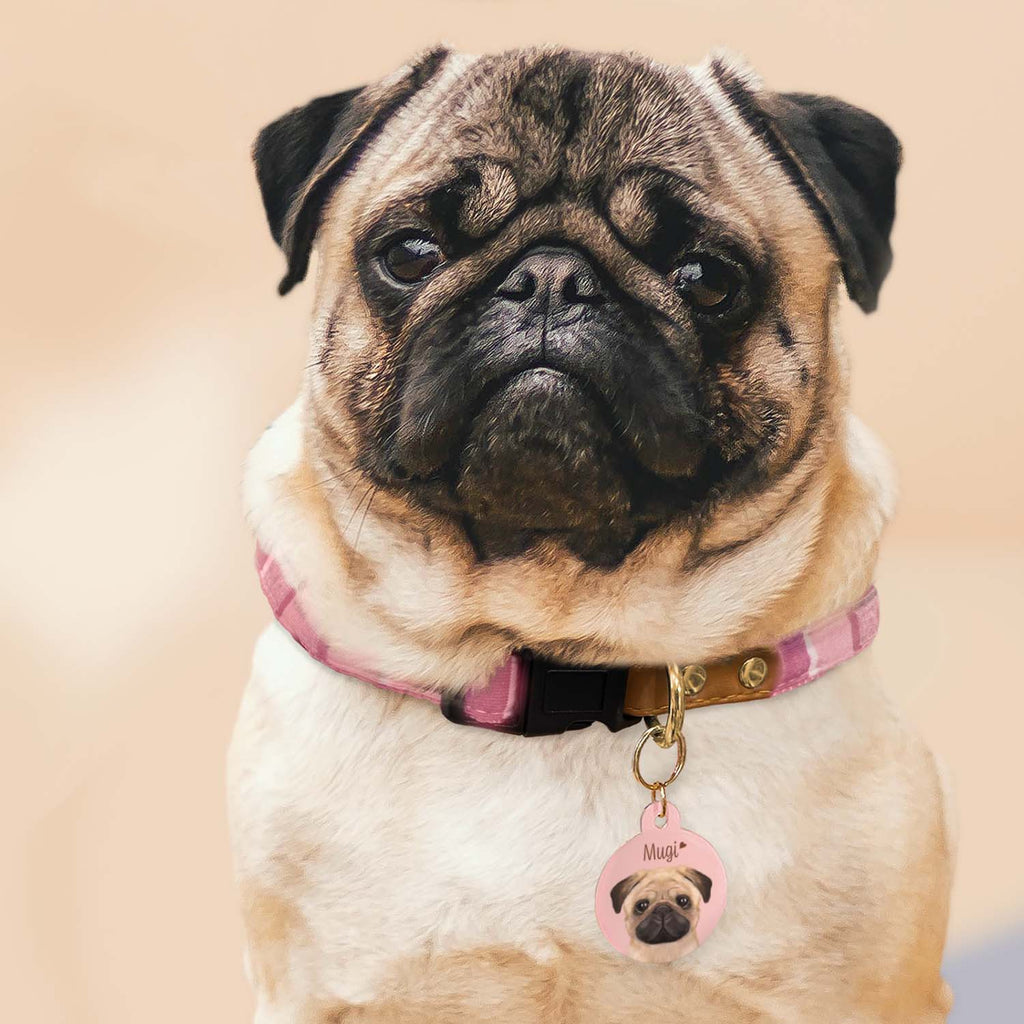 写真 る パステルカラー 名入り 迷子札 ドッグタグ - Fallook