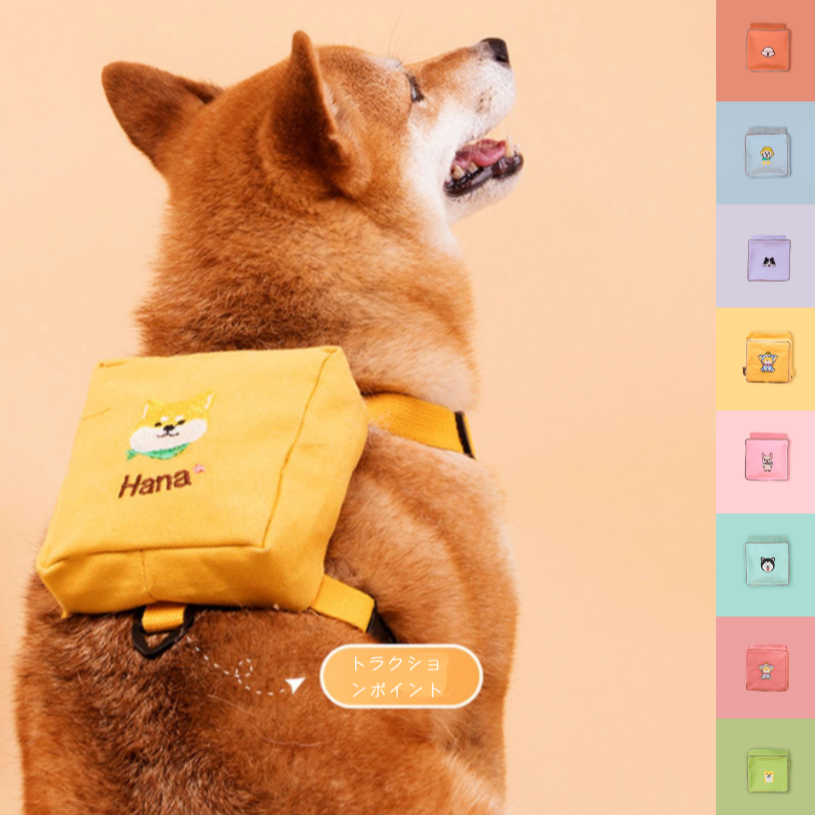 カスタム刺繍入りペット用バックパックリード - Fallook