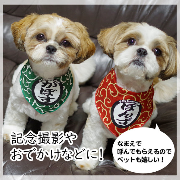 名前入り ペット用バンダナ からくさ模様・バンダナ のスタイル - Fallook