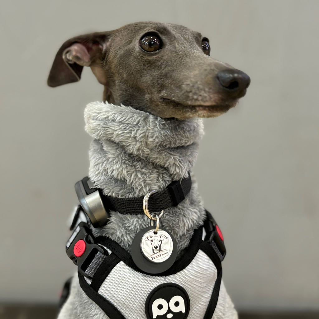 ペットの写真入りカスタムカラー｜ネックレス（革+銅製）