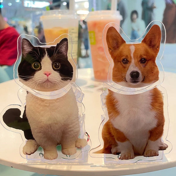 IMG_5298_grande.jpg?v=1700106657