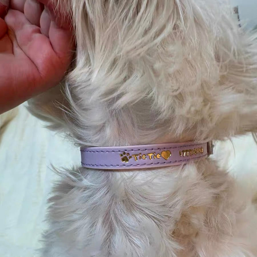 名入れ オリジナル  名前入り首輪 犬 犬用首輪 おしゃれ かわいい 安全 迷子札 ペット用品