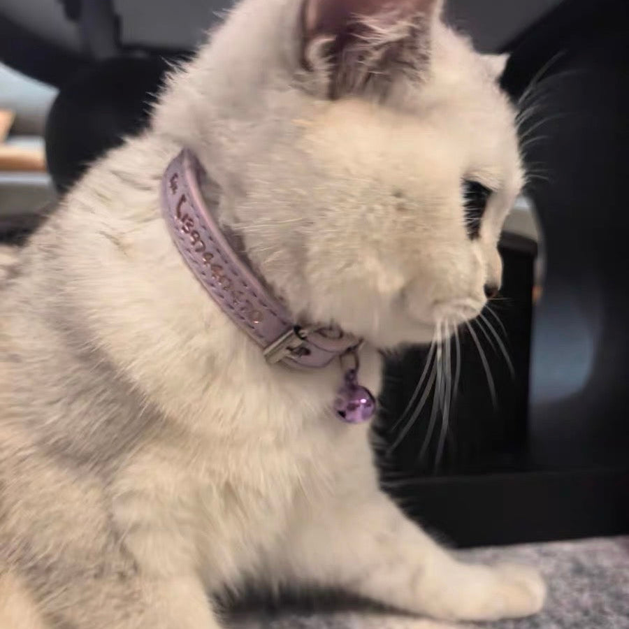 名入れ オリジナル  名前入り首輪 犬 犬用首輪 おしゃれ かわいい 安全 迷子札 ペット用品