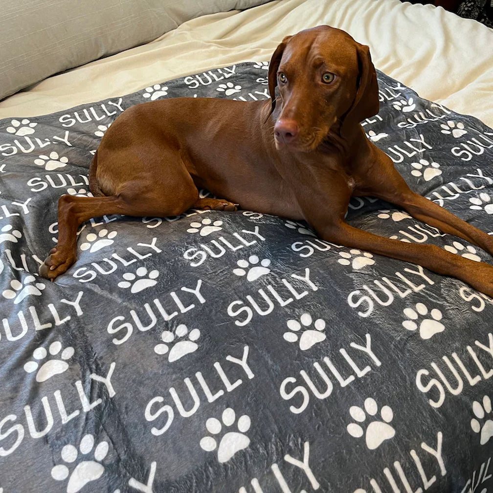 パーソナライズされた足跡付き名前ブランケット、カスタム犬または猫の名前ブランケット - Fallook