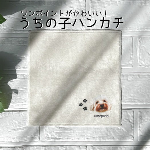 🐱🐶ペットのポートレートと名前をパーソナライズしたハンカチのカスタマイズ•うちの子ミニタオル•うちの子ギフト•うちの子グッツ•うちの子ブランケット•うちの子オーダー•香典返し　 - Fallook