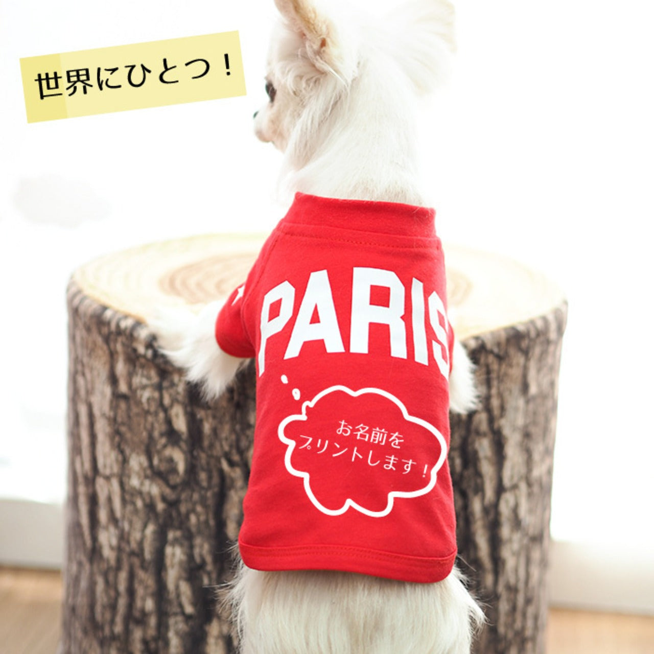 犬の名前が入った服をカスタマイズします 大きな文字です