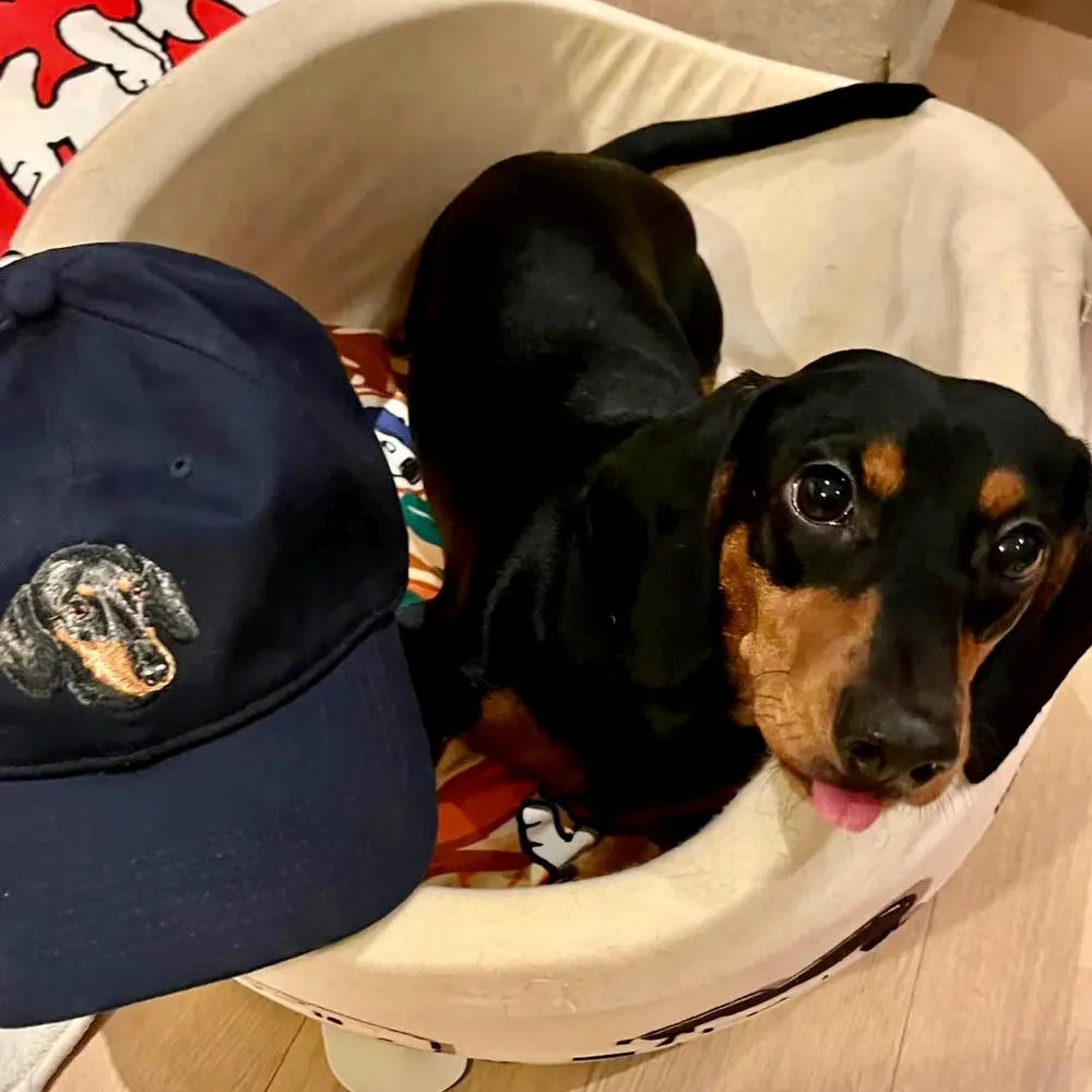 ペットの写真を使用してカスタム刺繍ペットの帽子 - Fallook