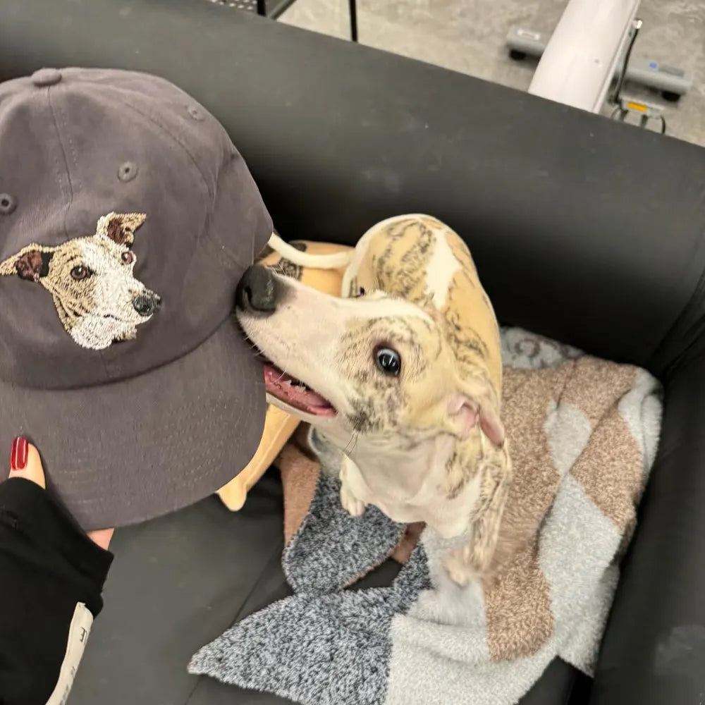 ペットの写真を使用してカスタム刺繍ペットの帽子 - Fallook