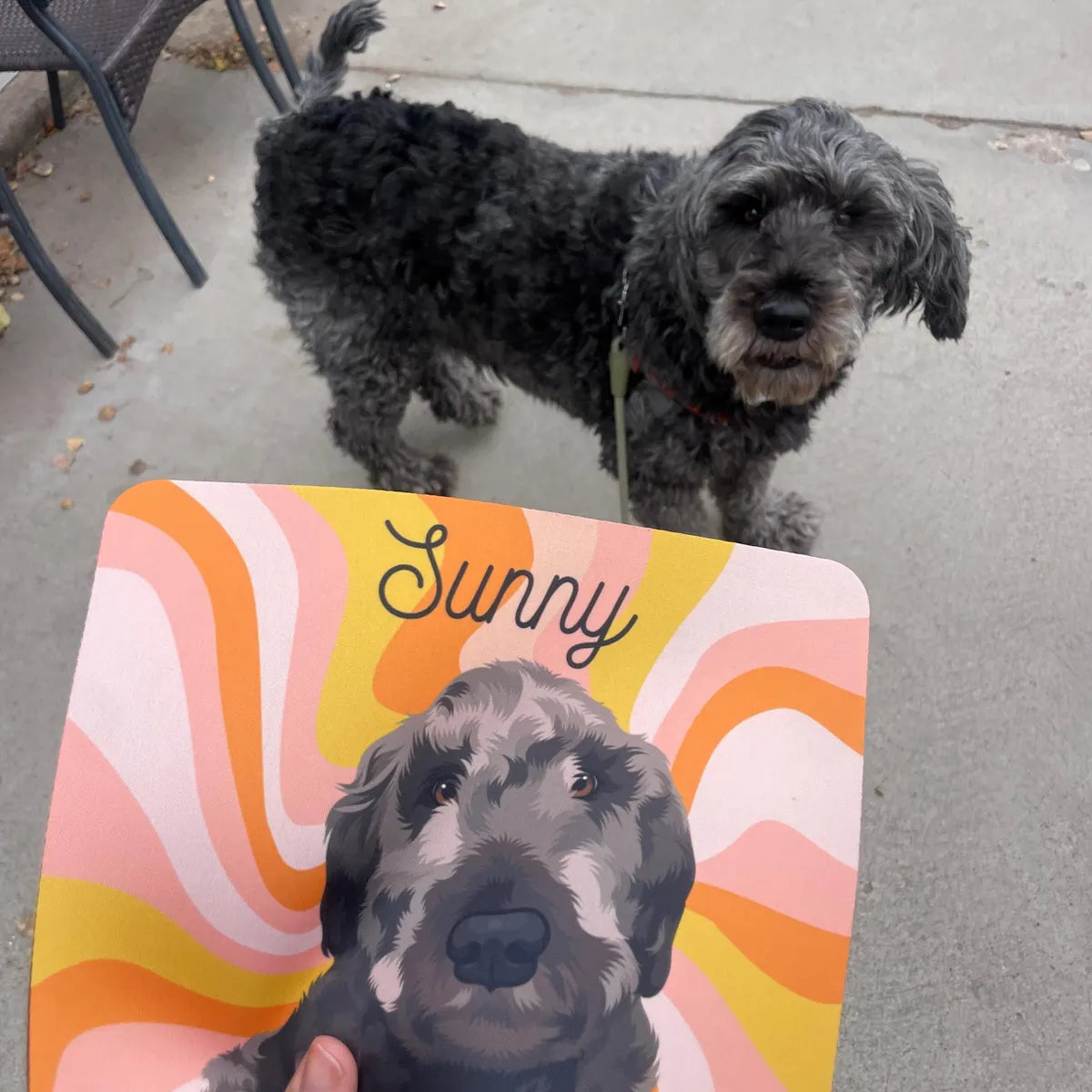 Shop style ☆ place mat