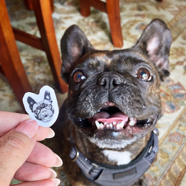 ペット写真スタンプ ペットの写真をスタンプに加工 (画像) 直径30mm四角内での制作です カスタム画像 - Fallook